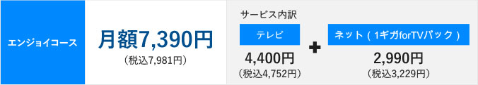 エンジョイコース